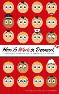 En bog der handler om hvordan man arbejder i Danmark