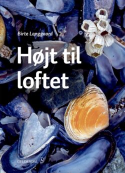 Forsiden af bogen "Højt til loftet" af Birte Langgard